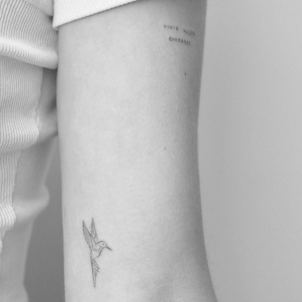 FINE LINE
