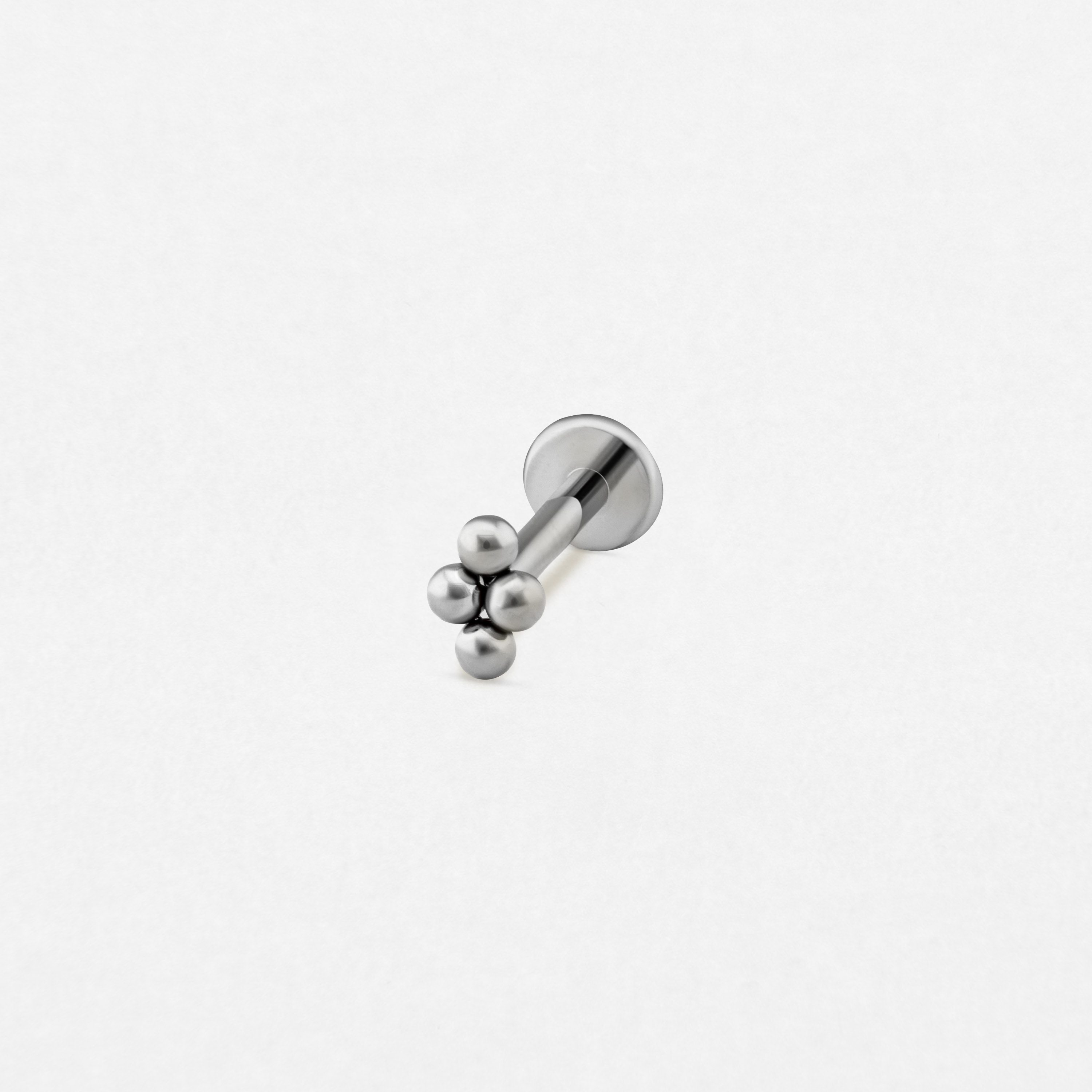 NIDO SILVER-1