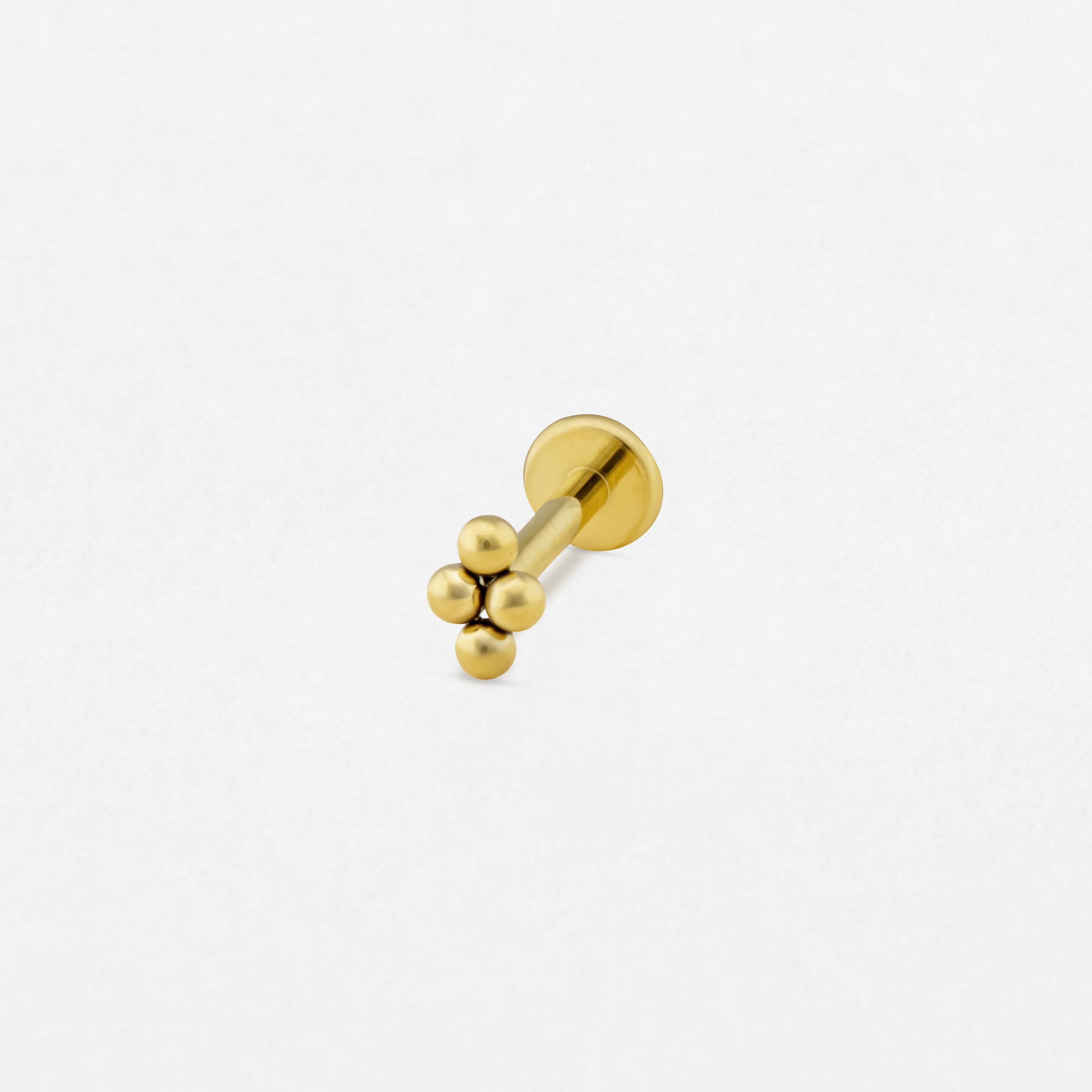 NIDO GOLD-1