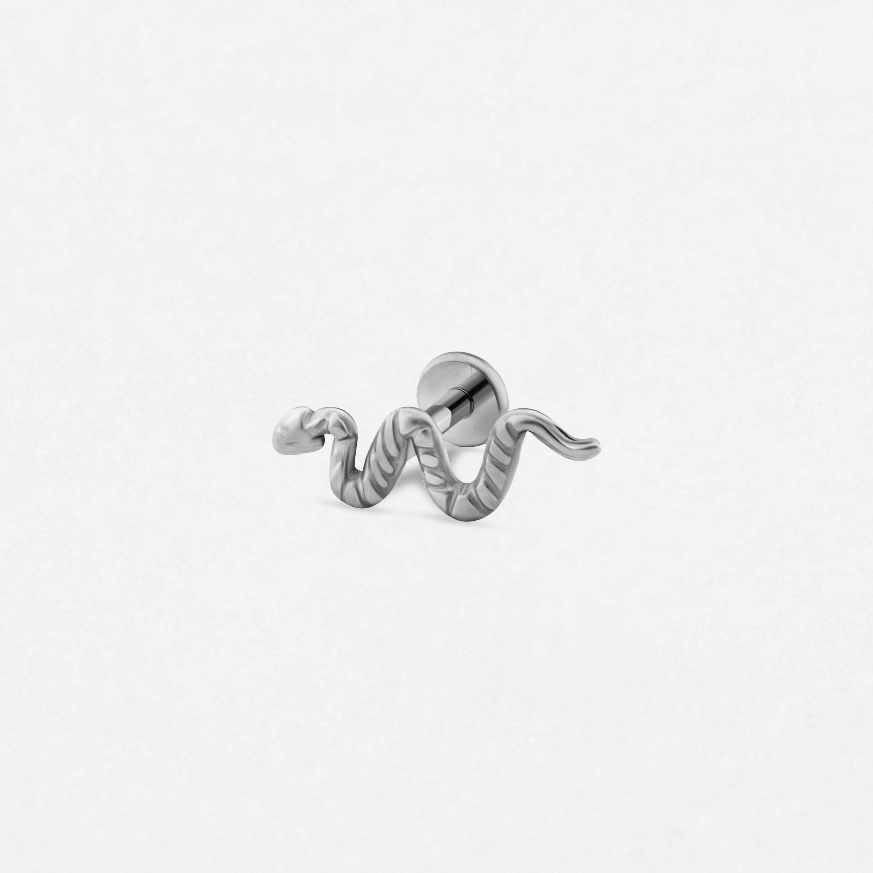 Snake  silver